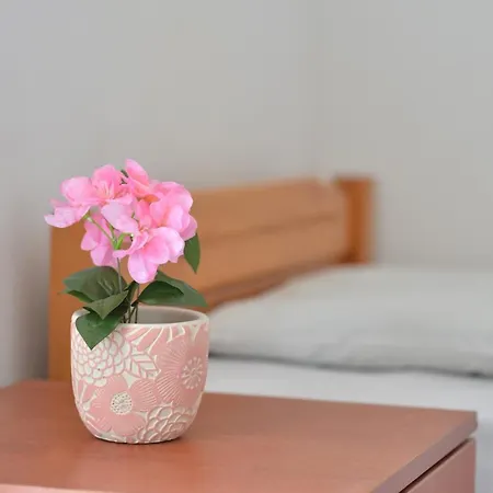 Love hôtel Studio's Stelios *